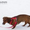 1_smilePhoto-238