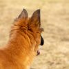 1_smilePhoto-241