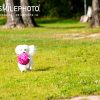 IMG_1086